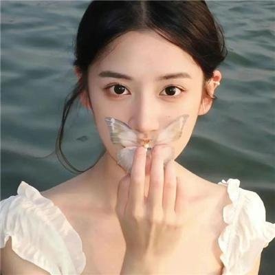 蝴蝶行动